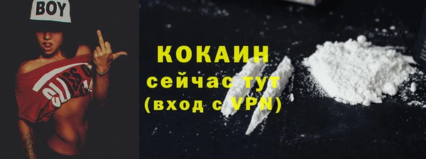 молекула духа Алексин